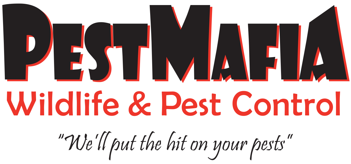 Pest Mafia